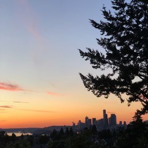 Meet your Posher, Lexie